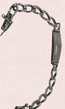 Pulseras de Identidad