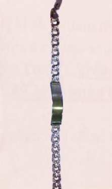 NOMEOLVIDES DE PLATA 226