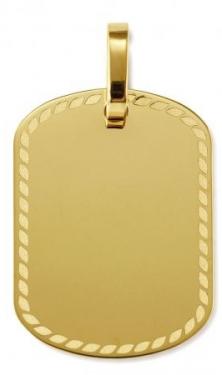 PLACA DE IDENTIDAD 21310L01