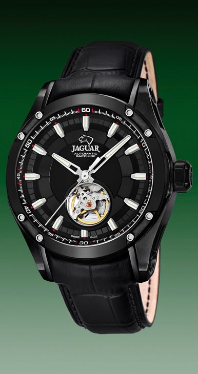 Jaguar AutomÃ¡tico