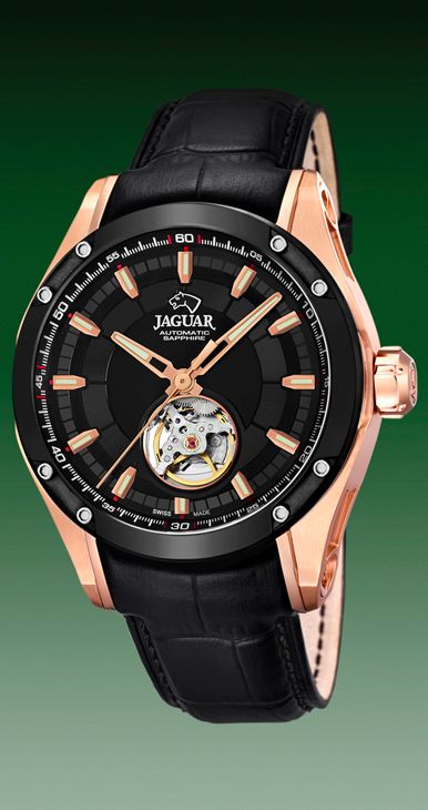 Jaguar AutomÃ¡tico