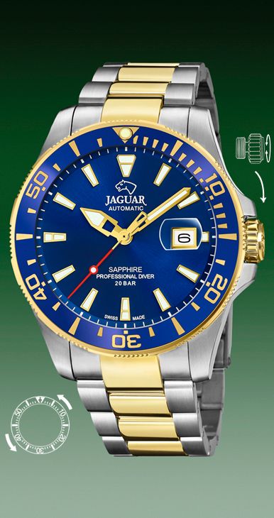 Jaguar AutomÃ¡tico