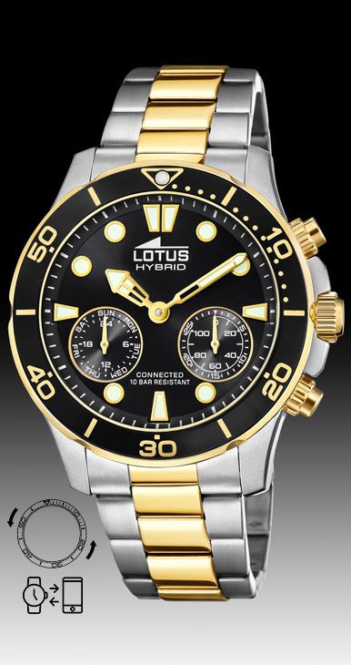 LOTUS HYBRID